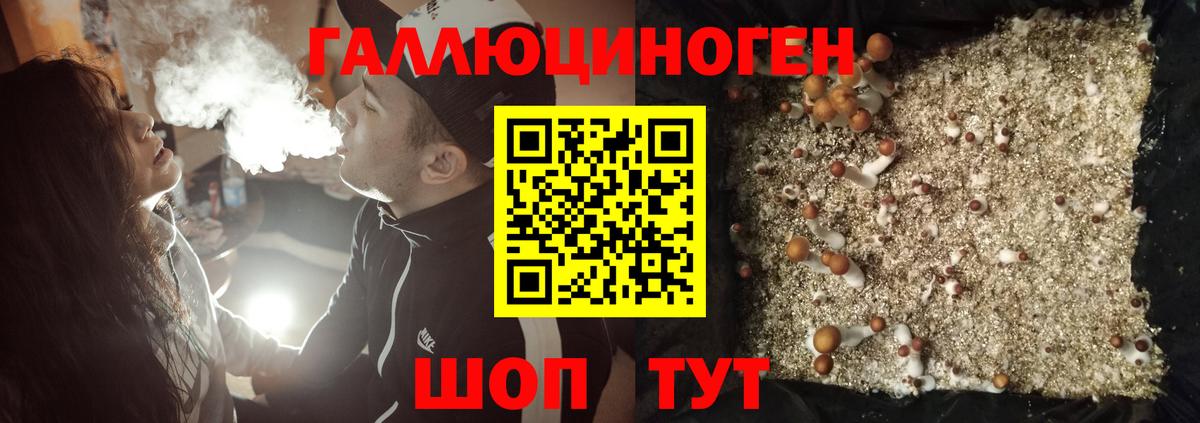 Галлюциногенные грибы Cubensis Приморско-Ахтарск